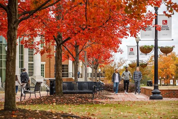 学生 walk among vivid fall foliage at the Ferguson Promenade